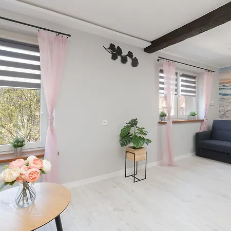 Jasne Pet-friendly W Lebie By Renters Apartment *