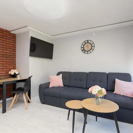 Jasne Pet-friendly W Lebie By Renters Łeba