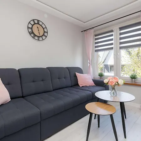 Apartment Jasne Pet-friendly W Lebie By Renters *