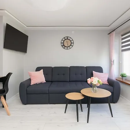 Apartment Jasne Pet-friendly W Lebie By Renters